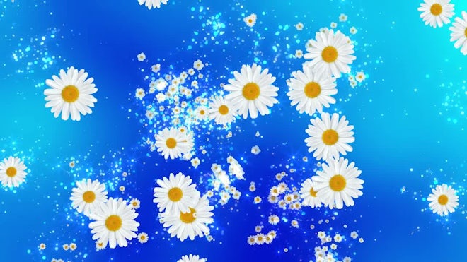 Uyda yalangoch yigit porno video Homilador gruzin va arman ayollar bilan jinsiy aloqa porno