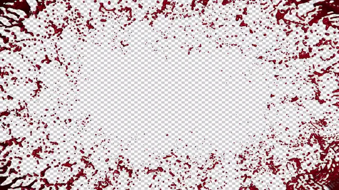 Bloody Frame