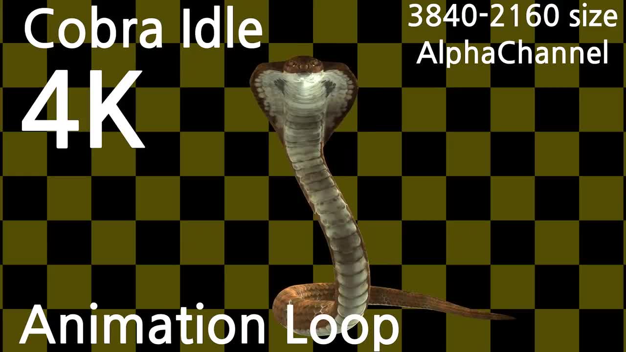 Alpha snake hot sale