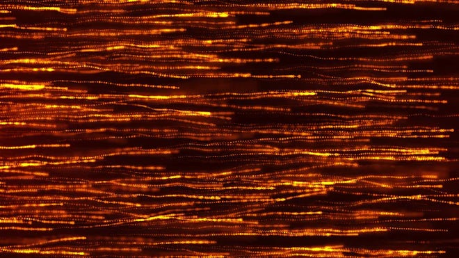 Orange Glow Background - Stock Motion Graphics