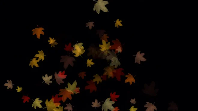 Side Fall Animation Fall Leaves Falling Animation