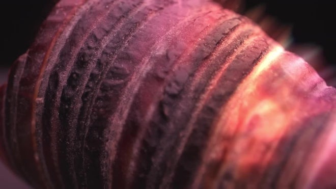 Shiny Pink Sea Shell - Stock Video | Motion Array