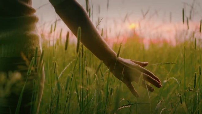 female hand, touch, grass Stock Photo