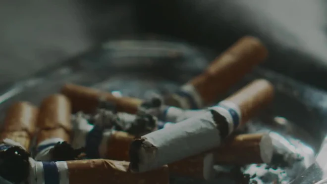 wild woodbine cigarettes year wild woodbine cigarettes -
