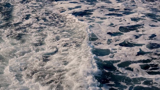 What is Sea Foam? The Phenomenon of a Foaming Ocean