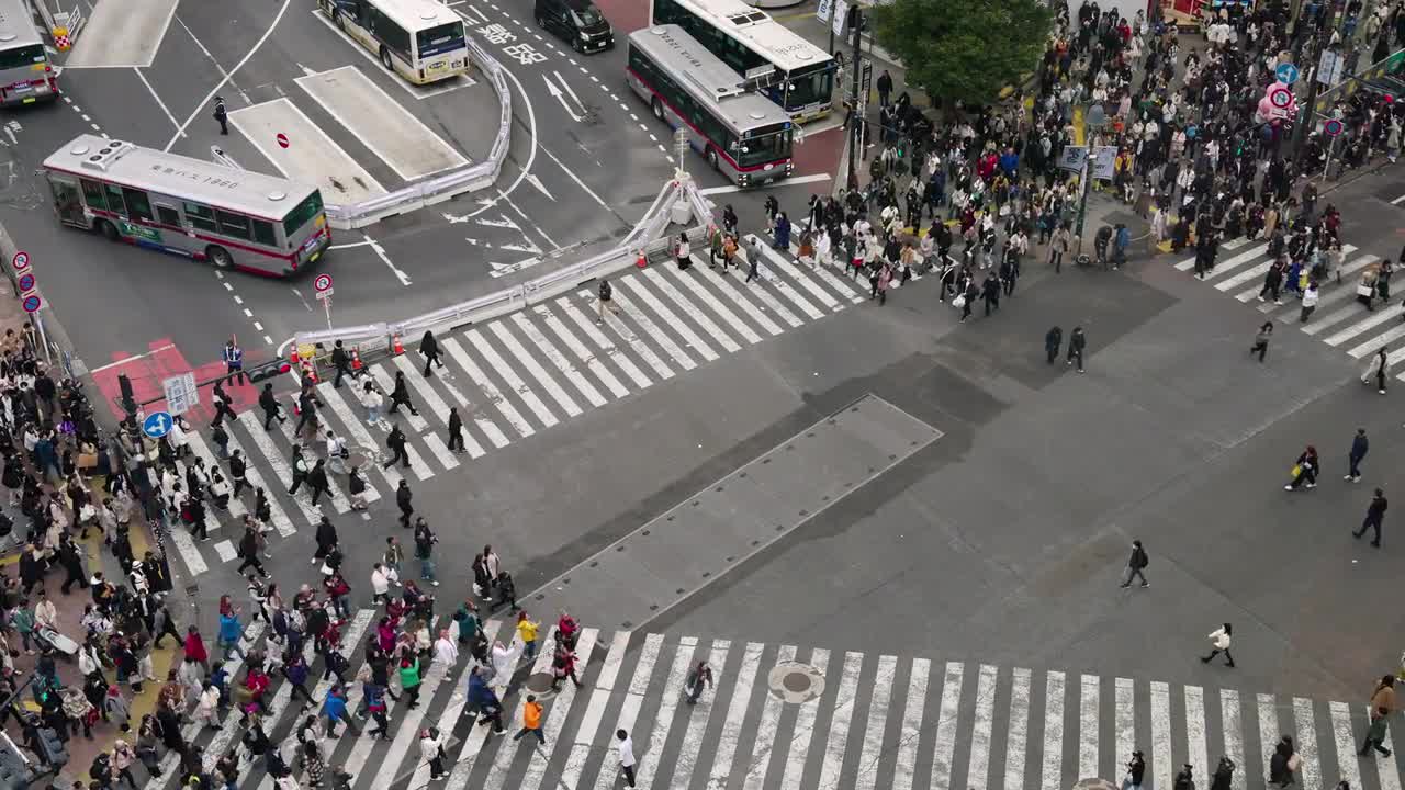 Shibuya Crossing In Tokyo At Night - Stock Video | Motion Array