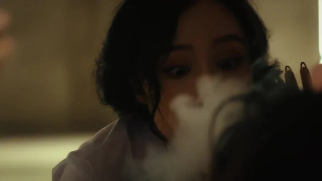 plant tobacco seeds Golden Seal Special Burley Tobacco Seeds - Huge selection! Many different  varieties of tobacco leaf seeds for sale