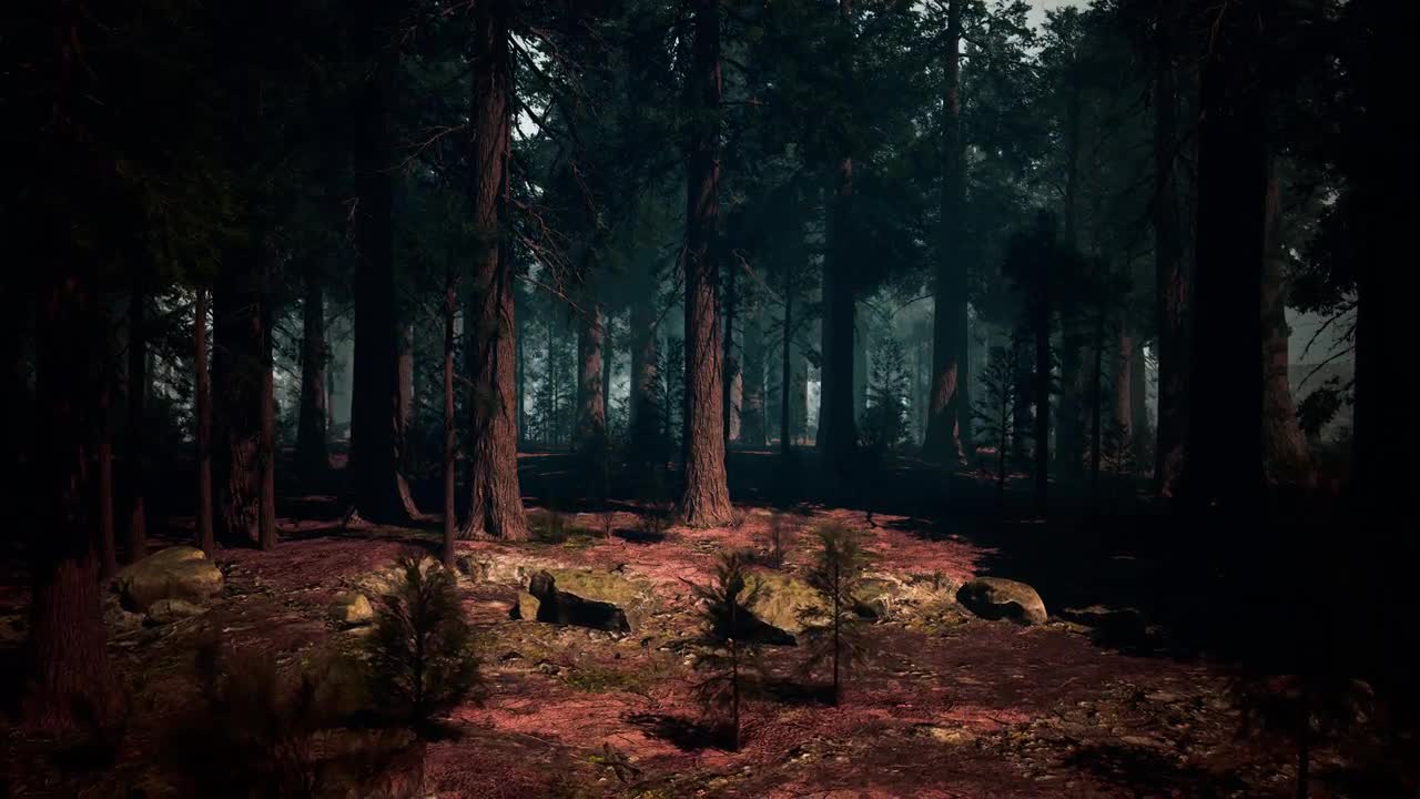 DARK FOREST - The Midnight Folk - YouTube