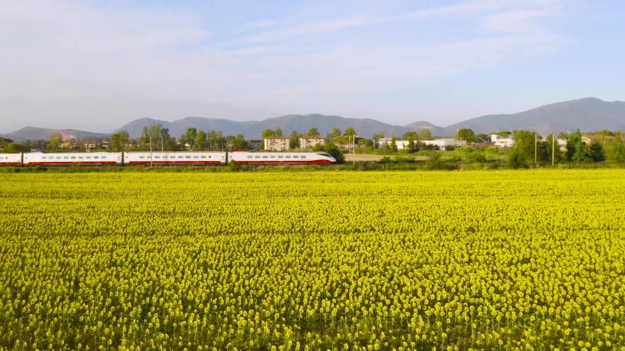 A Train Passes The Sunflowers - Stock Video 