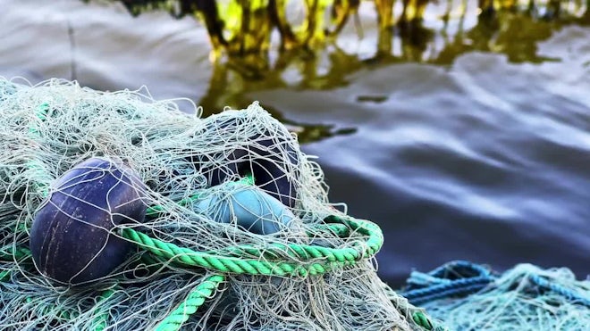 Fishing nets.Alaska., A fishing net or fishnet is a net use…