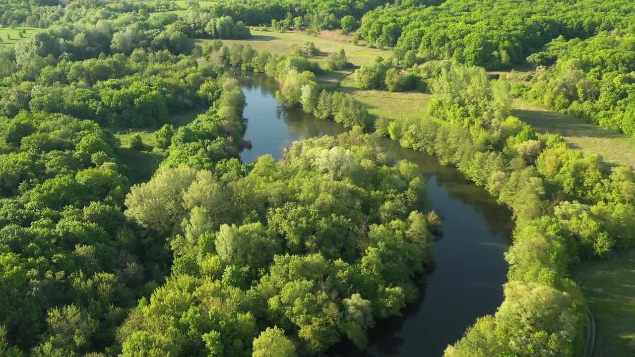 Aerial Of A Forest And River - Stock Video | Motion Array