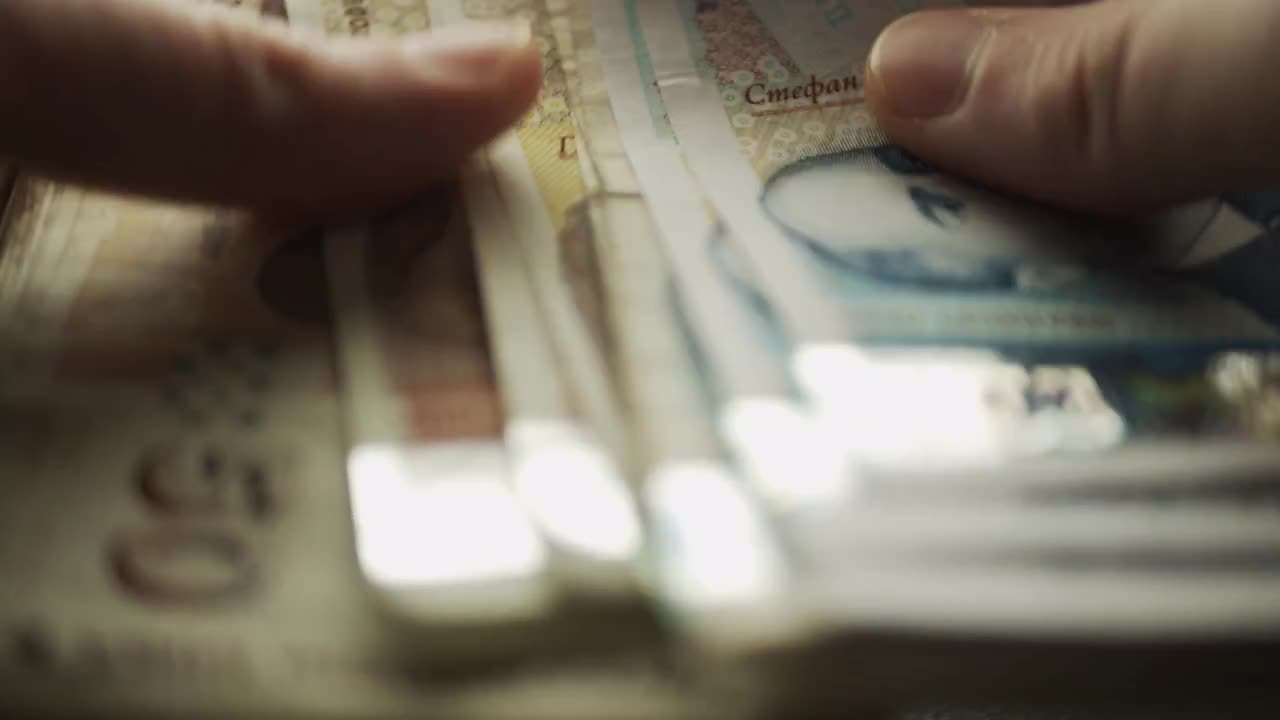 Woman Counting Euro Money by BinzariFilms - Stock Video | Motion Array