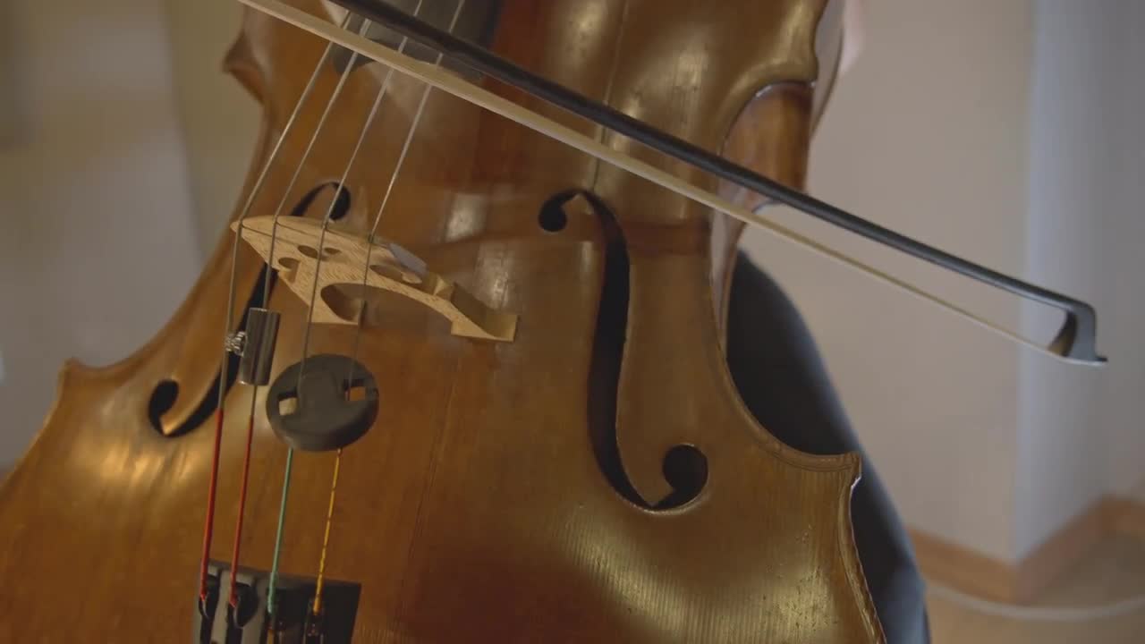 Cello Player Practicing Stock Video Motion Array