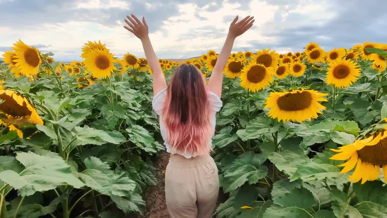 Girl In Sunflower Field - Stock Video | Motion Array