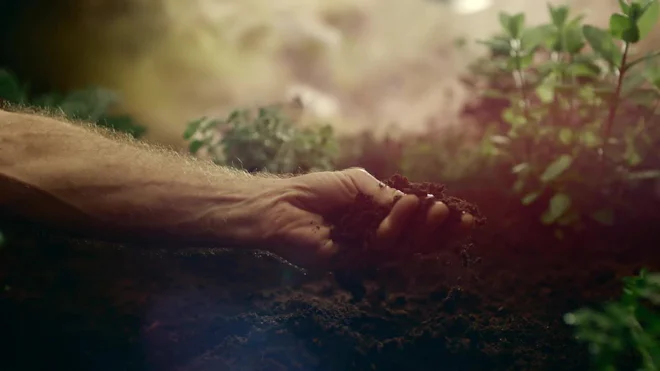 Motionarray High Quality Stock Video Footage | Motion Array