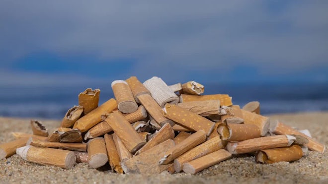 Cigarettes Dropped On Beach - Stock Video