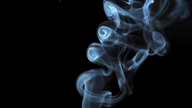 Black Smoke on White Background - Stock Video | Motion Array