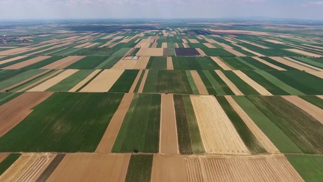 Ripe agricultural field at sunset, Vojvodina, Serbia stock photo