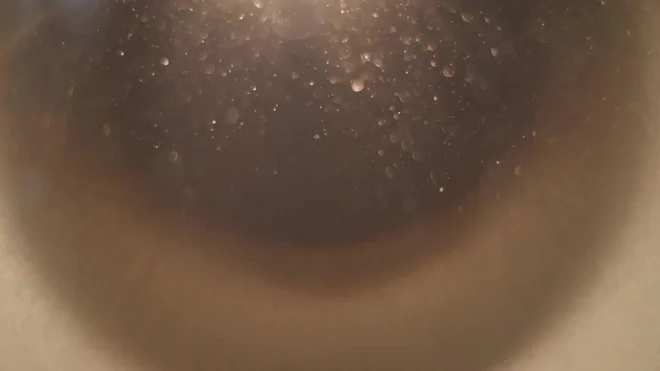 Fly Particals Dust Particles In Air