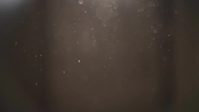 Sunlight Particles Dust Particles In Sunlight Yellow Dust. Beautiful Light Flashes. Dust