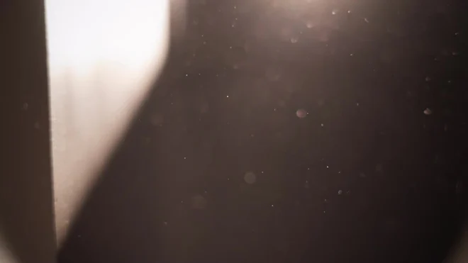 Dust Particles In Sunlight Yellow Dust. Beautiful Light Flashes. Dust