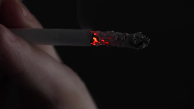did chef aj smoke cigarettes Amazon.com: The Joys of Smoking Cigarettes: 0000061252271: Fitzgerald, James: Books