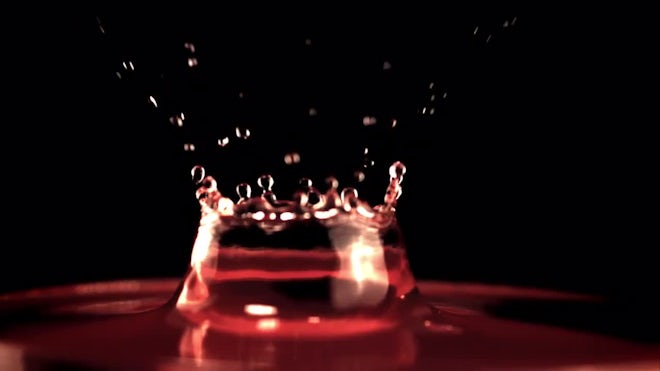 Drops Of Red Wine Fall Down - Stock Video