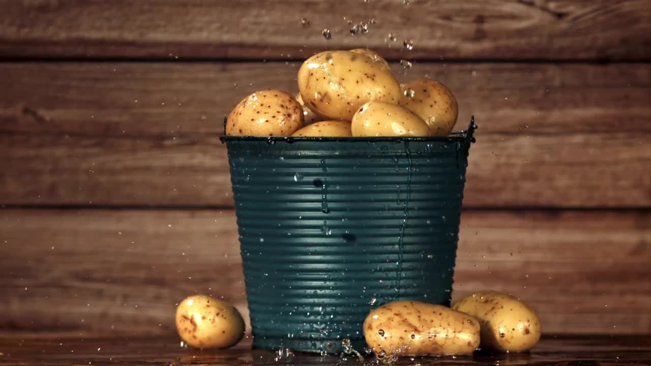 ポテト Frontiers | Taxonomy and control of Trichoderma