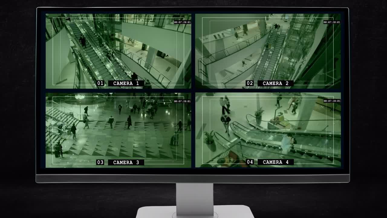 Multi camera surveillance store systems