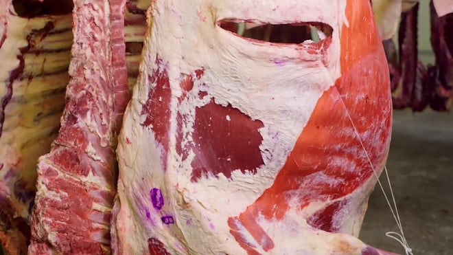 carcasses of beef hanging on hooks close, Stock Video