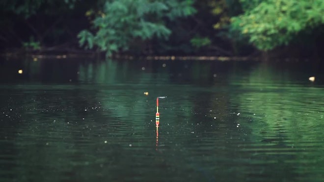 Fishing bobber on river water in woods , Stock Video
