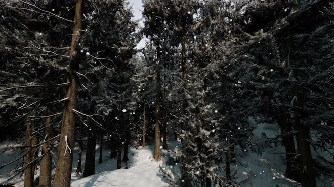 dark snowy woods