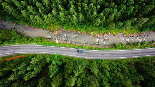 Race Car Drifting on Road through Forest · Free Stock Photo