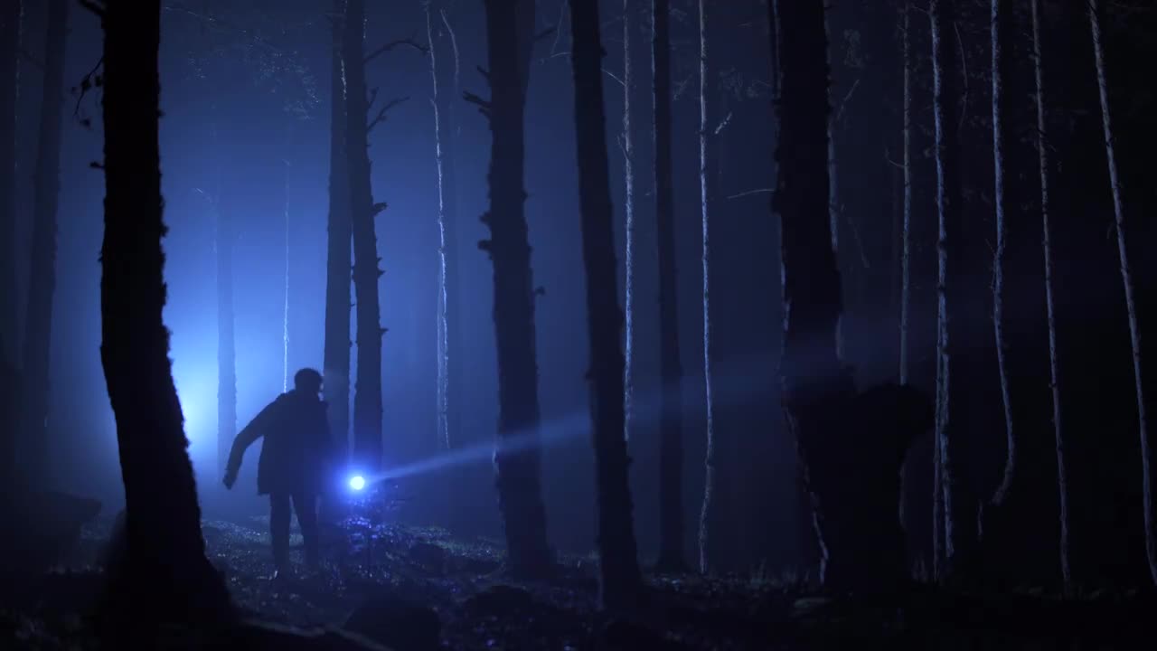 キャンバスドローイング『The forest at night』 キャンバスドローイング『The forest at night』 キャンバス