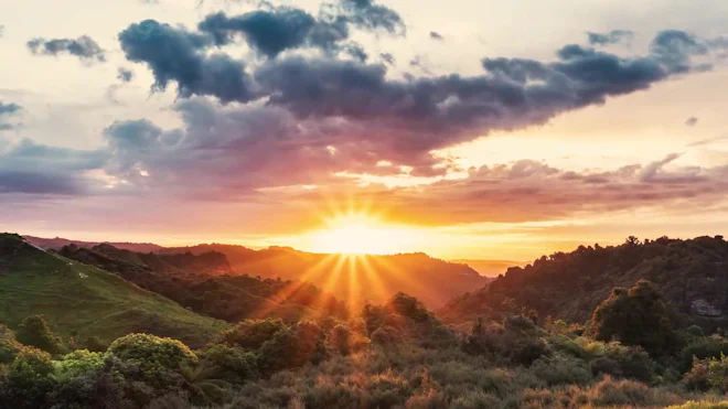 Nature Landscape Sunset Forest Hiking Path And Sunset In Beautiful
