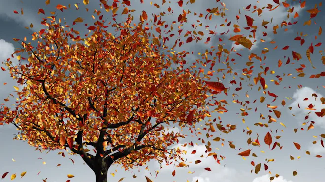 Spring Transition Animation Stock Video Animation | Motion Array