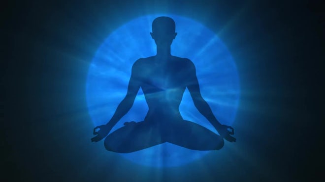 Nutrition and Wellness Essentials