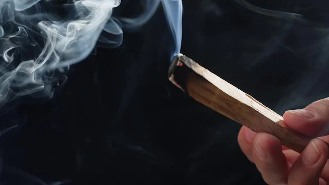 Burning Cigarette by Eleven52 - Stock Video