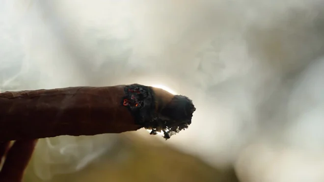 Close View Of Burning Ceremonial Tobacco With Smoke During Mayan Ritual by  Alejandro Campollo - Stock Video