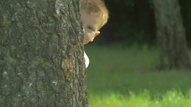 Object Behind Tree Hiding Behind A Tree