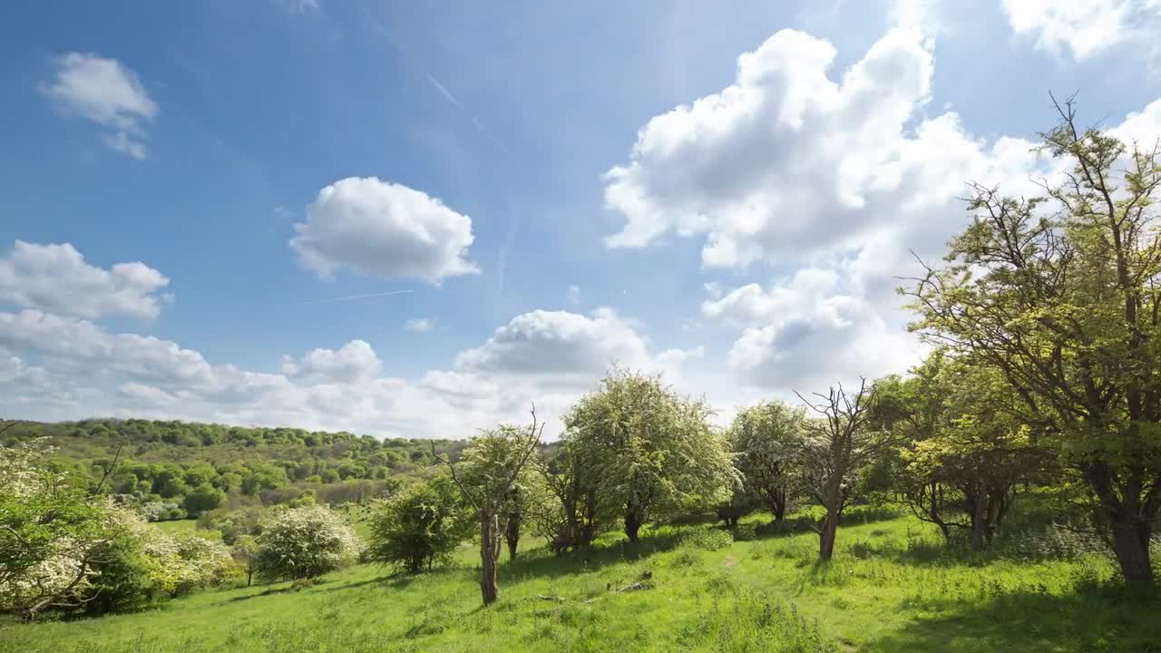 Rolling Hills Of English Countryside - Stock Video | Motion Array