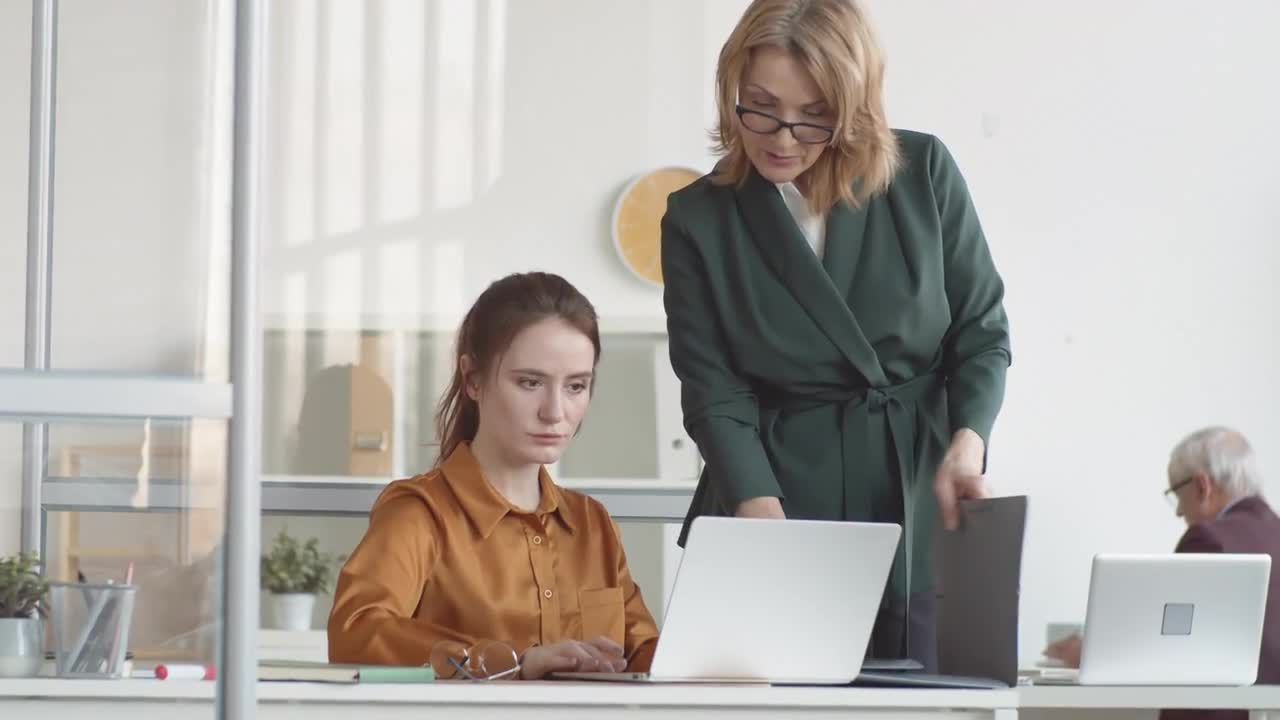 Manager And The Junior Secretary Stock Video Motion Array