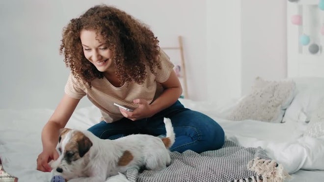 Teenage Girl Having Fun With Her Dog In Bedroom - Stock Video | Motion Array