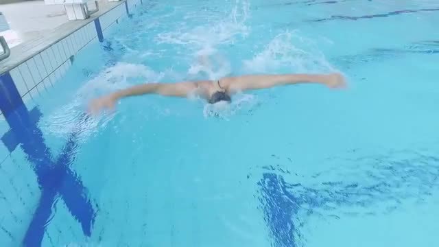 Male Swimmer Training In Pool: Stock Video
