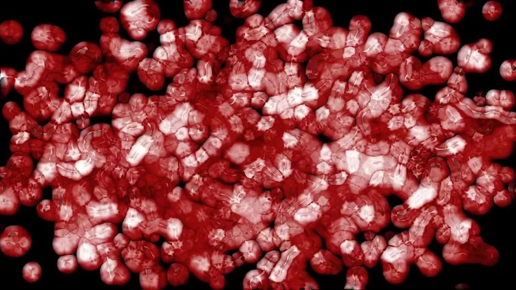 Cell Growth: Stock Motion Graphics