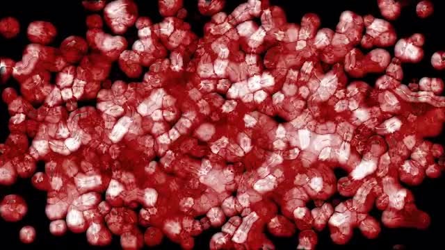 Cell Growth: Stock Motion Graphics