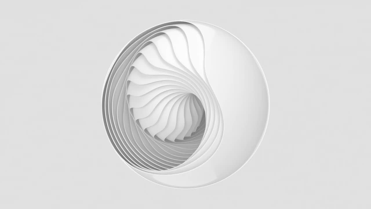 seashell loop