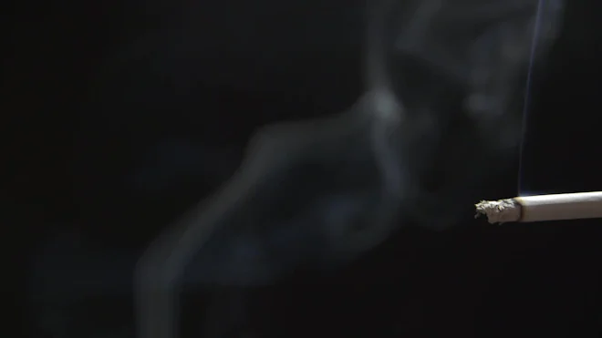 what is in cigarettes smoke Tobacco smoking what is in cigarettes smoke Tobacco smoking