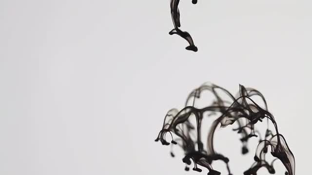 Ink Chamber 07: Stock Video
