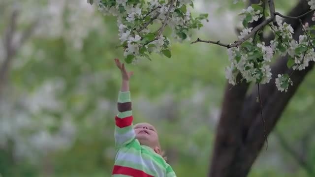 Child Reaches For Flowers: Stock Video